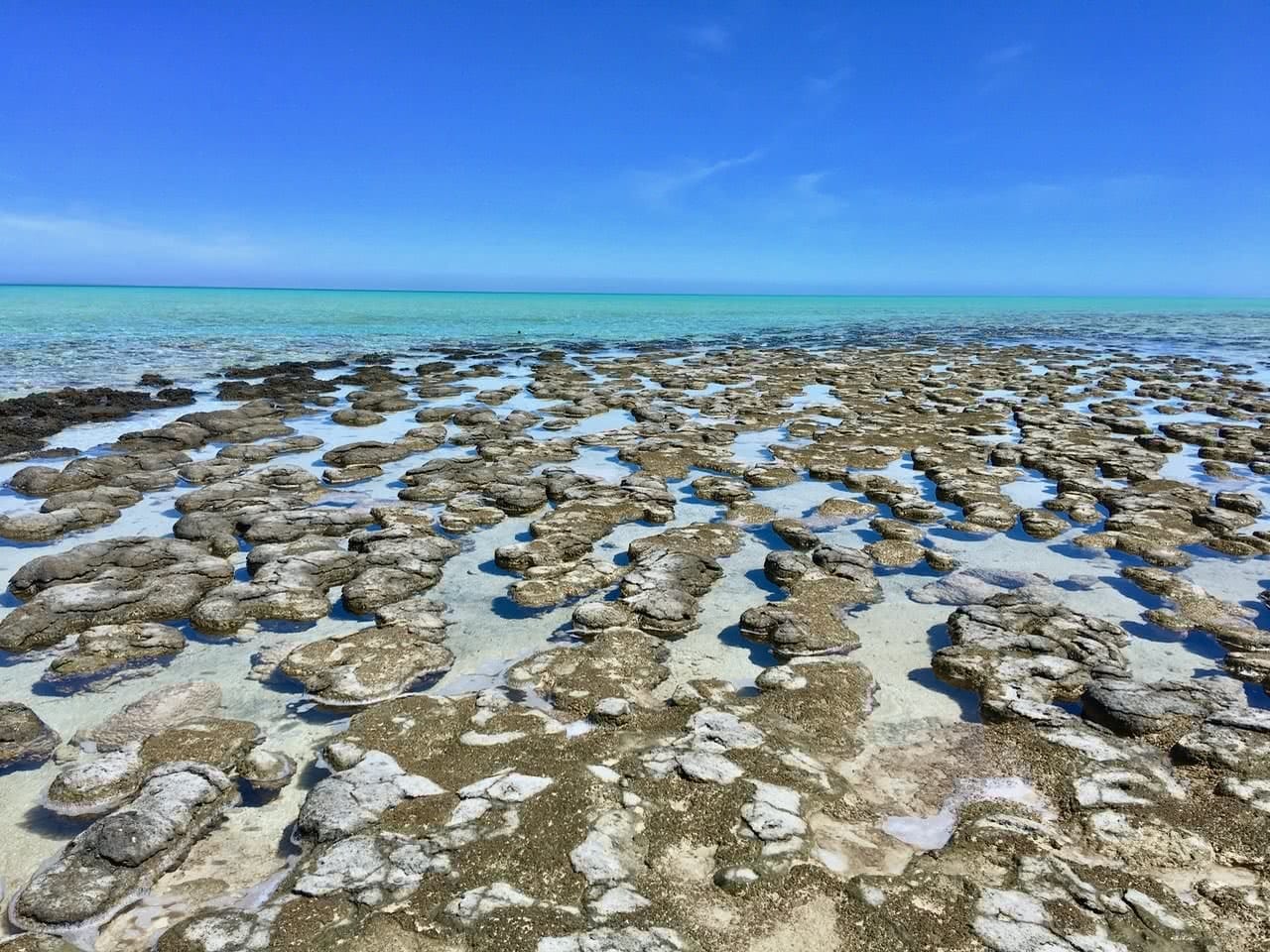 Coral Coast Road Trip // Perth to Shark Bay (WA), Henkjan Schrijver, stromatolites, rocks, turquoise, horizon, ocean, prehistoric