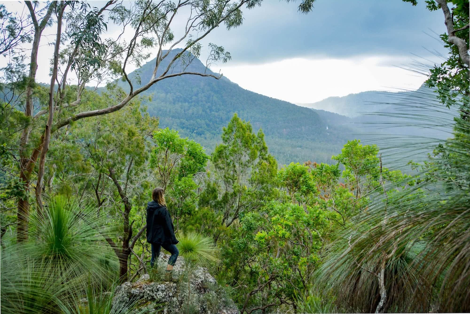 Mt Mathieson // Main Range National Park (QLD) Mt Mathieson Clouds Lisa Owen Mt Mitchell Lookout