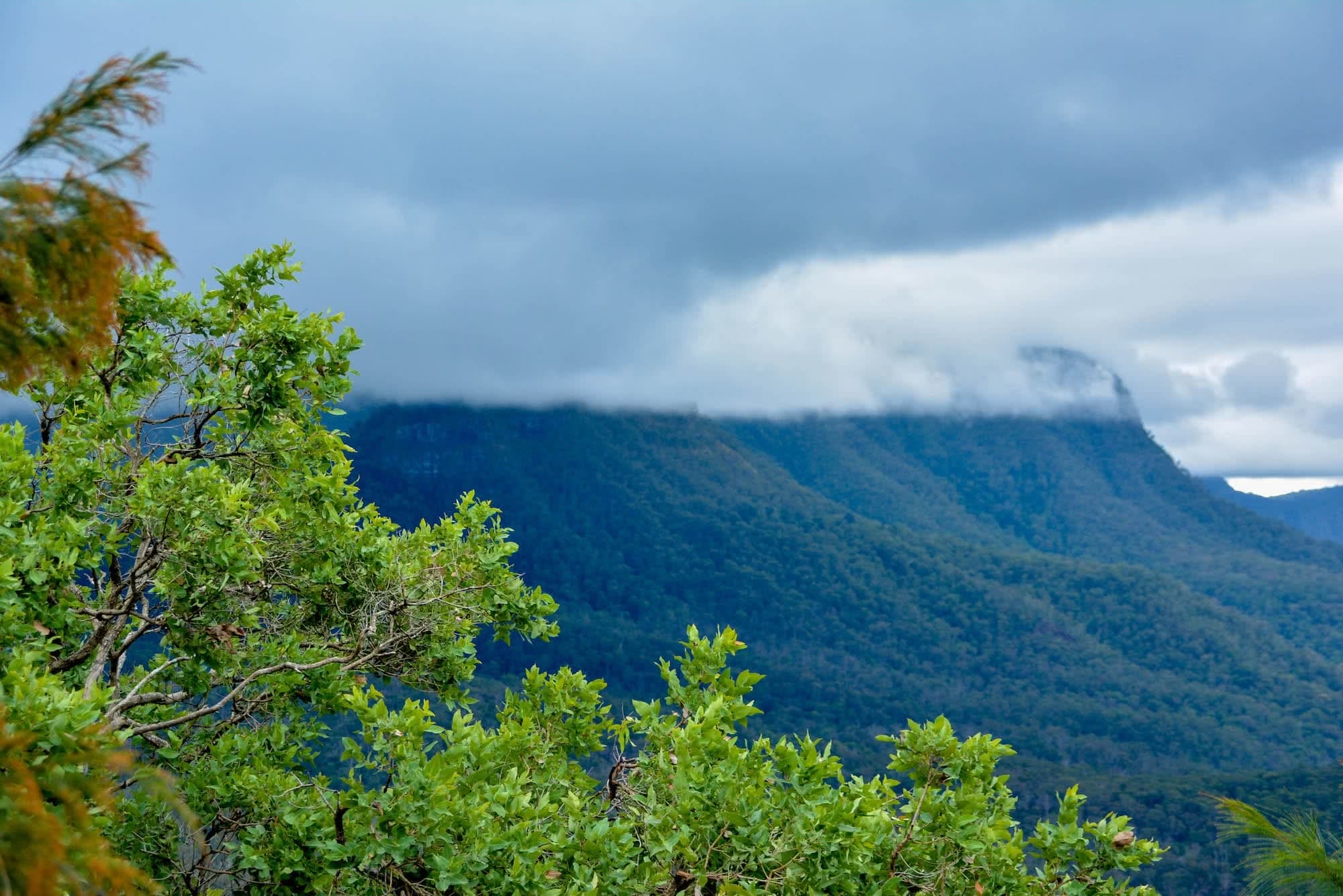 Mt Mathieson // Main Range National Park (QLD) Mt Mathieson Clouds Lisa Owen storm
