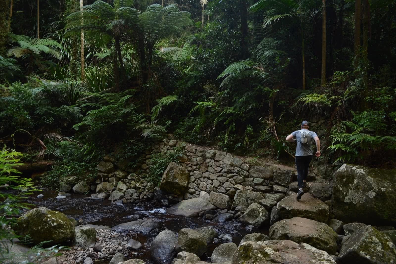 Coomera Circuit // Lamington National Park (QLD) Coomera Circuit Coomera Falls Lisa Owen Binna Burra South-East QLD rock hopping