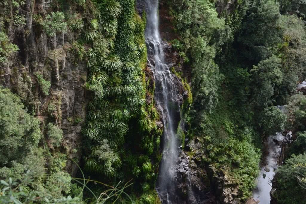 Coomera Circuit // Lamington National Park (QLD) Coomera Circuit Coomera Falls Lisa Owen Binna Burra South-East QLD waterfall