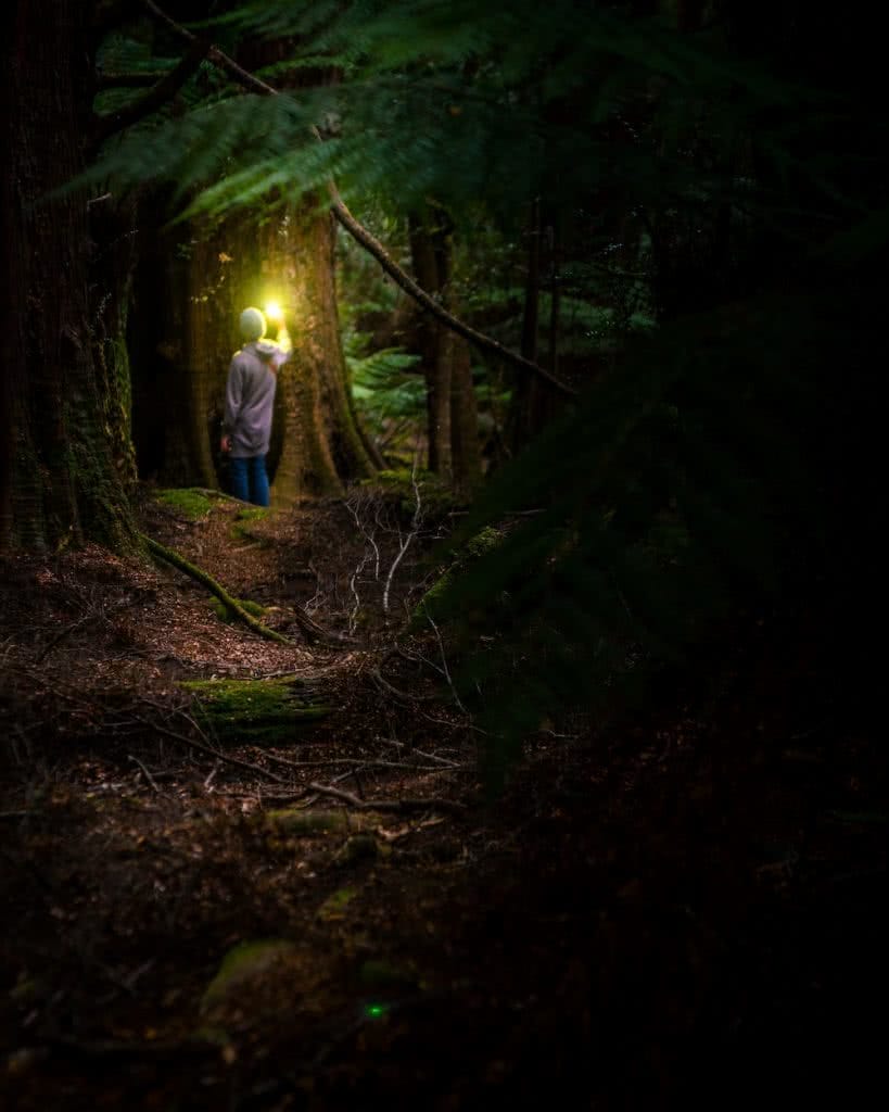 Forest of Natural Greens // Trowutta Arch (TAS) Aidan Cunningham gloomy forest