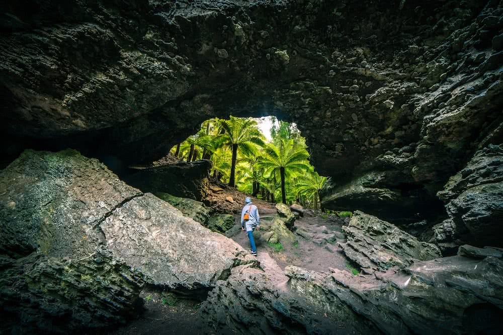 Forest of Natural Greens // Trowutta Arch (TAS) Aidan Cunningham