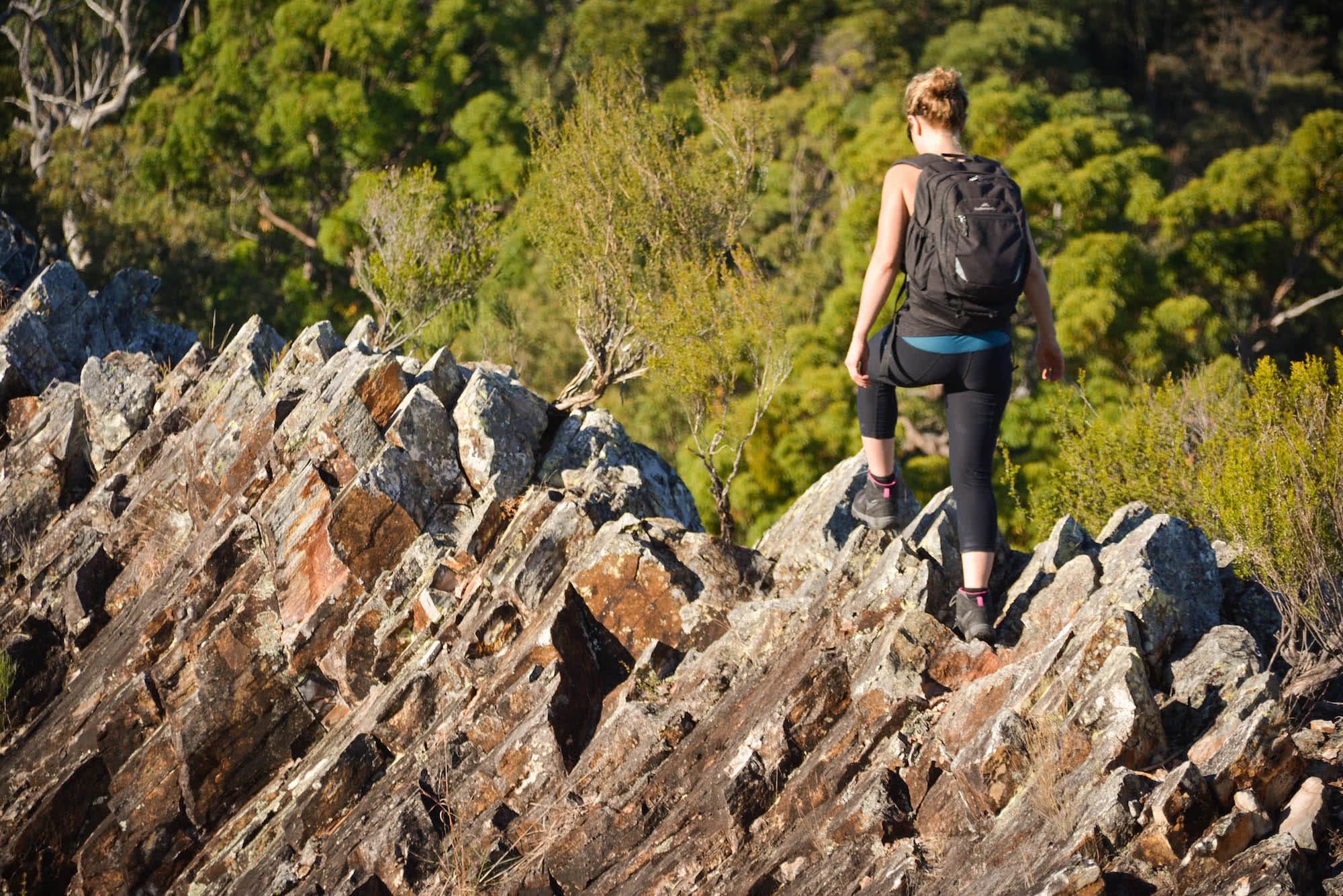 Lisa Owen Pages Pinnacle QLD