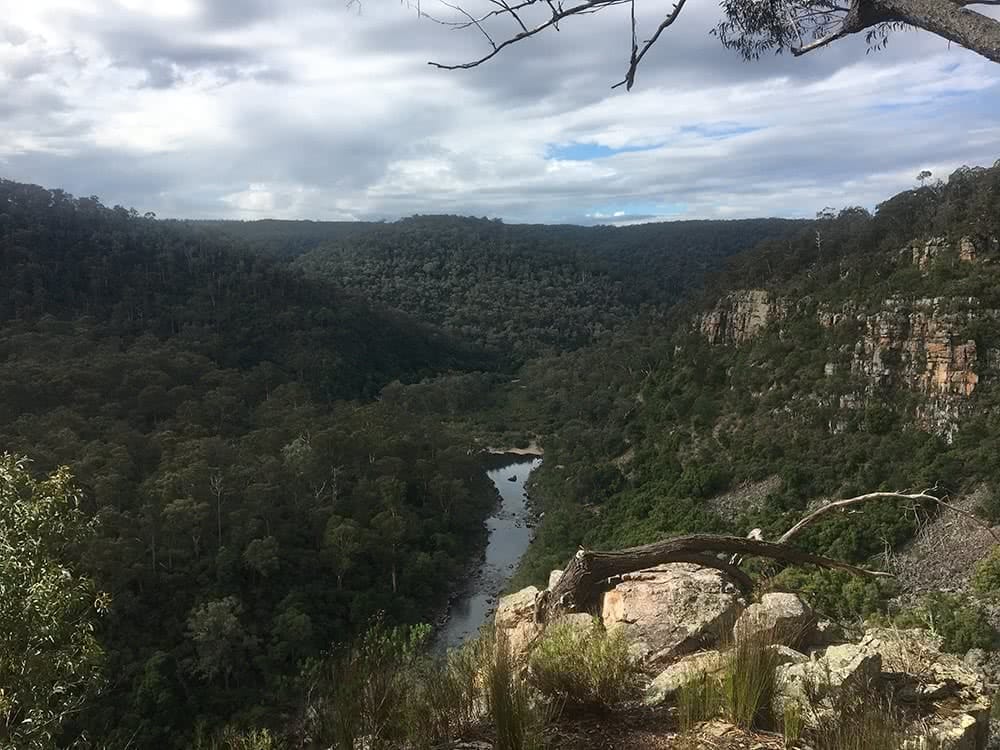 mitchell river walking track