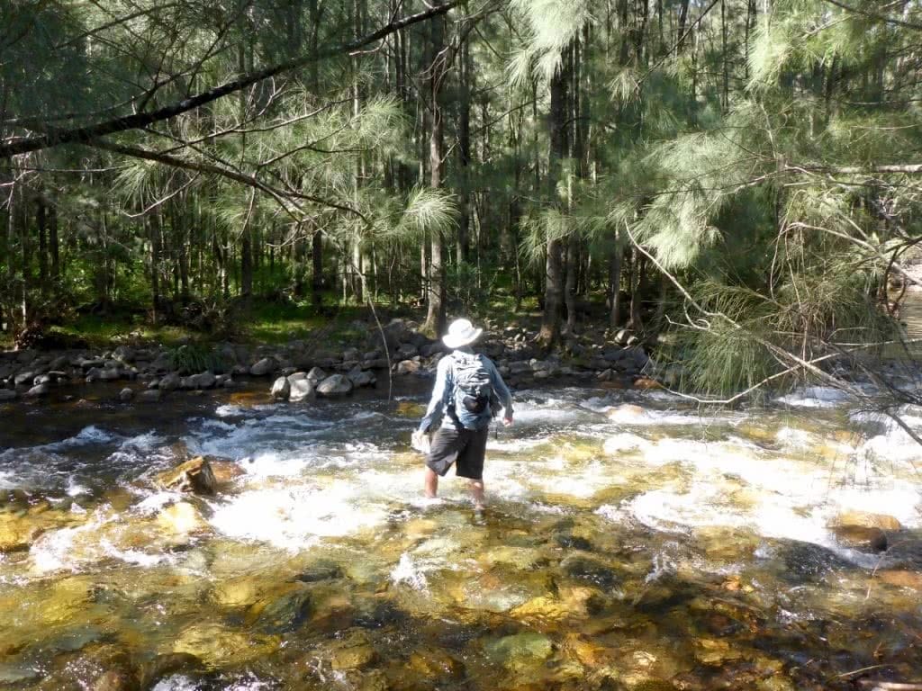 K2K In A Day, Kanangra Walls, Sunrise, Kanangra-Boyd National Park, Kanangra Creek, crossing