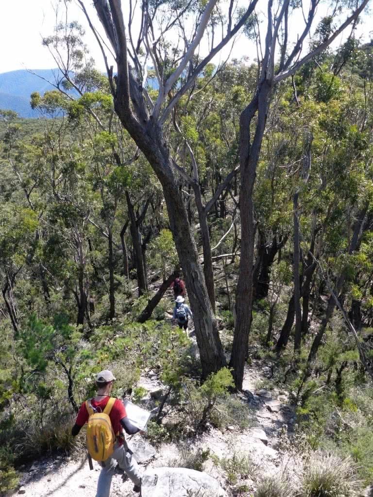 K2K In A Day, Kanangra Walls, Sunrise, Kanangra-Boyd National Park, descending, ridgeline