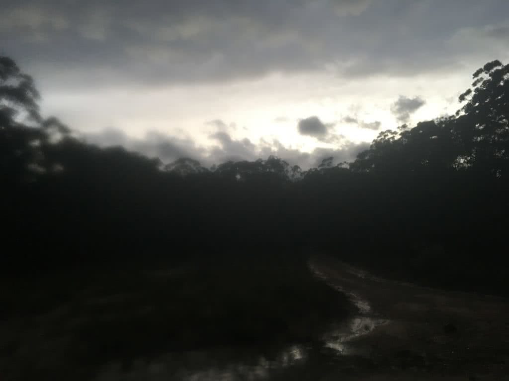 Kanangra to Katoomba, Tim Ashelford, NSW, Kanangra-Boyd National Park, dark, wet, blurry