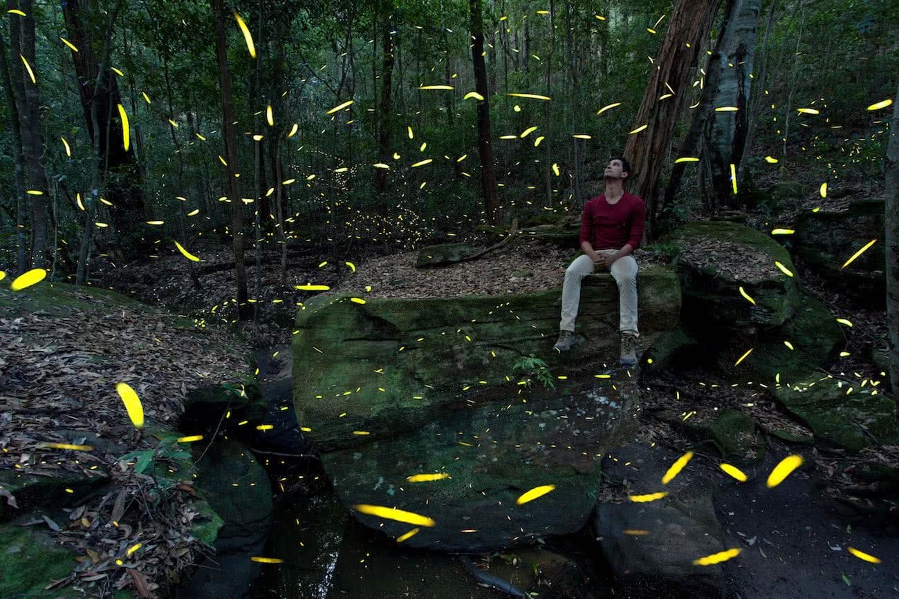 Joel Johnsson, Fireflies Blue Mountains River Rock NSW Joel Johnsson, bugs, long exposure, man, bush