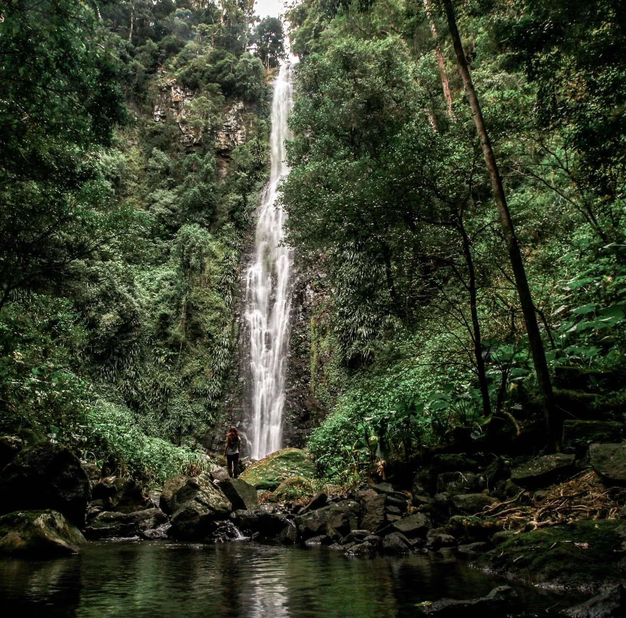 Lamington National Park - Microadventure Combo (QLD) Lisa Owen Scout Hinchliffe rainforest Stinson Waterfall, overnight hikes near Brisbane