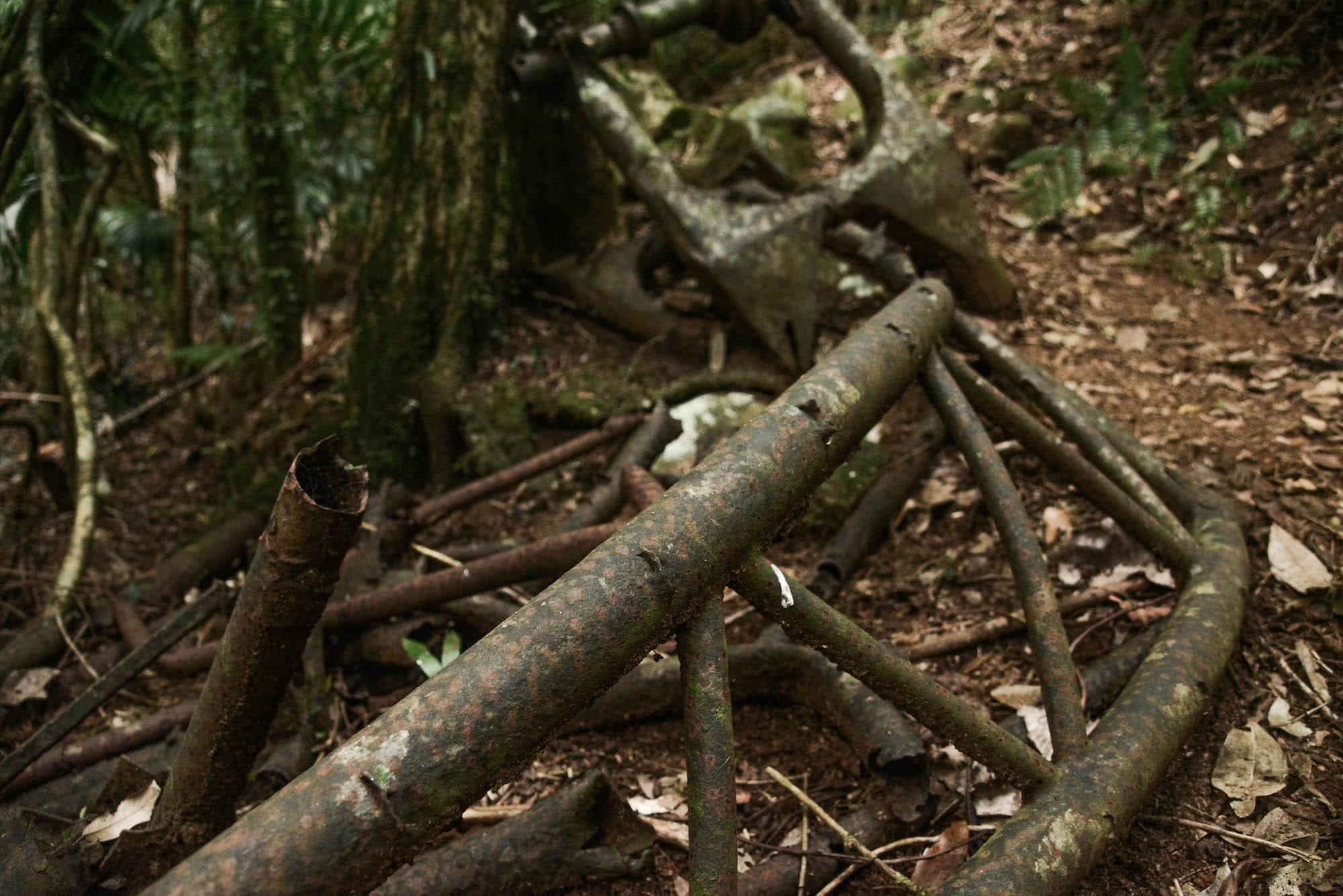 Lamington National Park - Microadventure Combo (QLD) Lisa Owen Scout Hinchliffe Stinson Crash Site rainforest