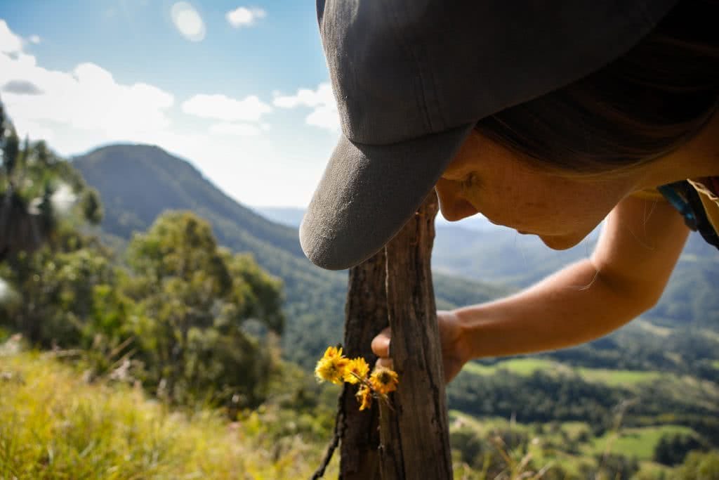Lisa Owen Neglected Mountain Scenic Rim QLD Scout Hinchliffe flower mountain