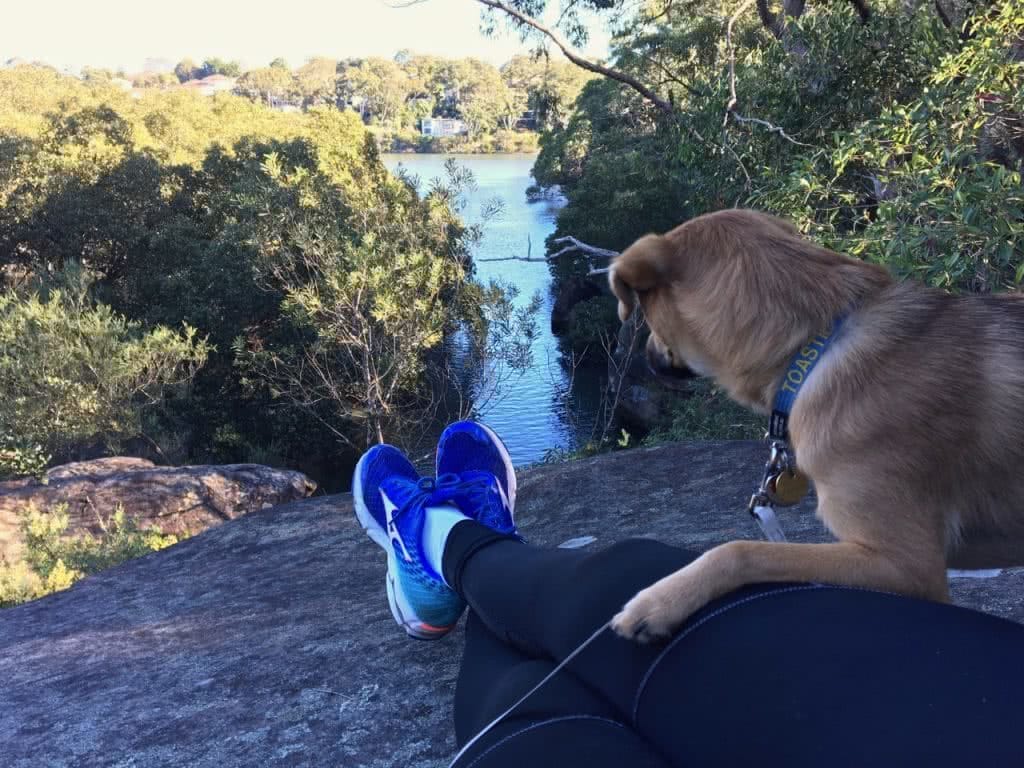 Courtney Dawson, dog, lookout, water, running, view, dog friendly walks