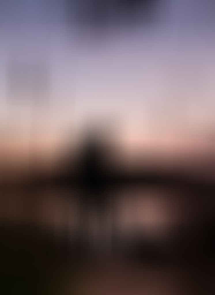 miranda fitzgerald, rox, dog, sunset, water, silhouette, dog friendly walks