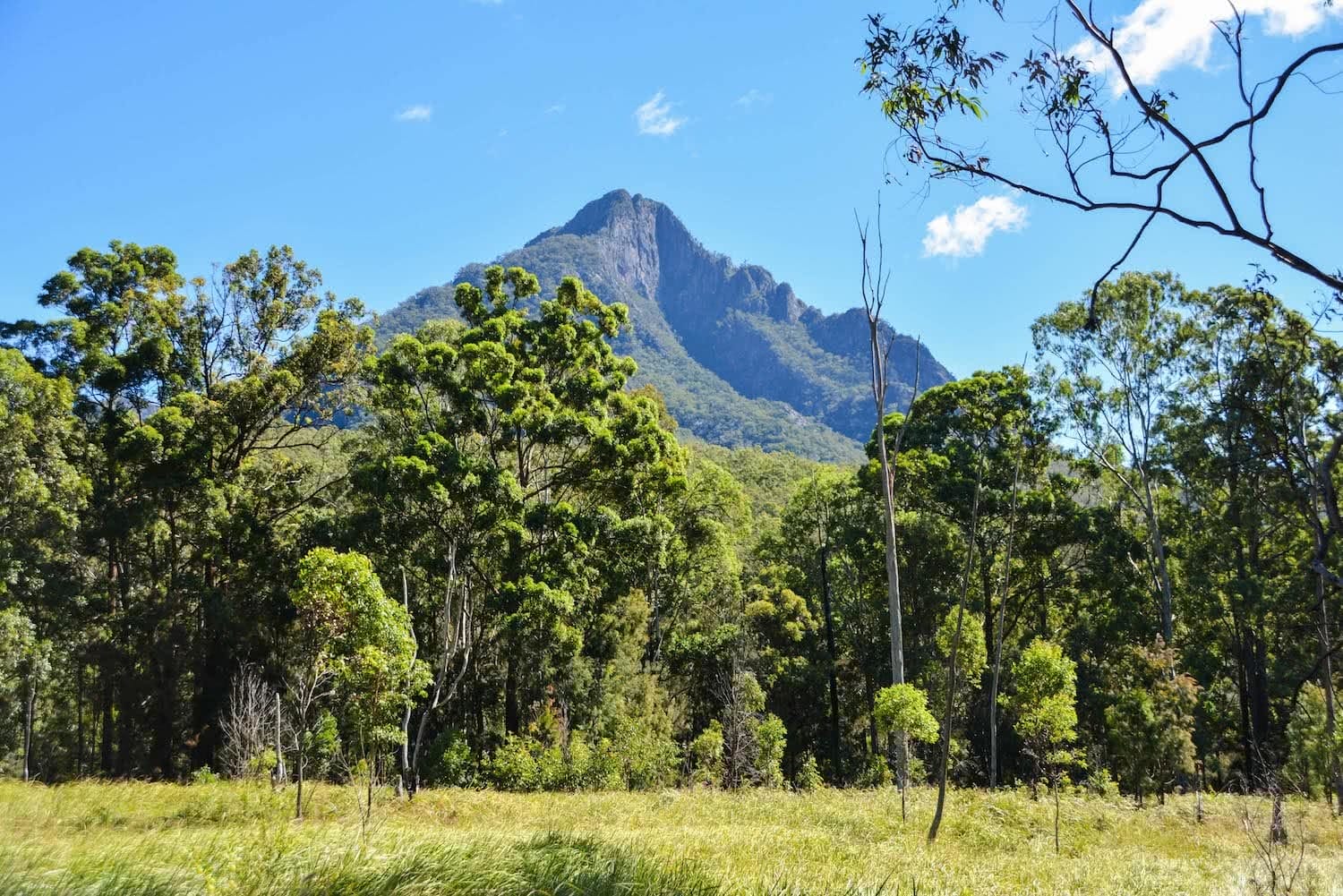 Lisa Owen Mount Barney South Ridge Scenic Rim Queensland QLD Mountain Viewpoint Mt Barney View
