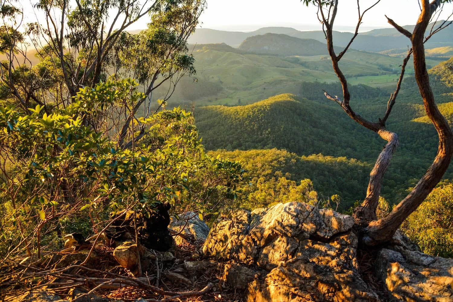 Lisa Owen Mount Barney South Ridge Scenic Rim Queensland QLD mountain First Light Viewpoint