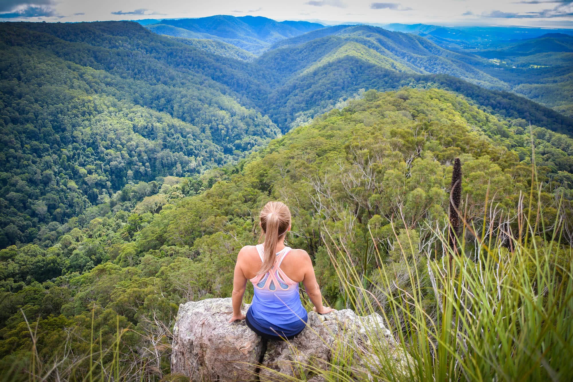 Sneaky side trip to the Springbrook Pinnacle (QLD) Lisa Owen qld waterfall rock