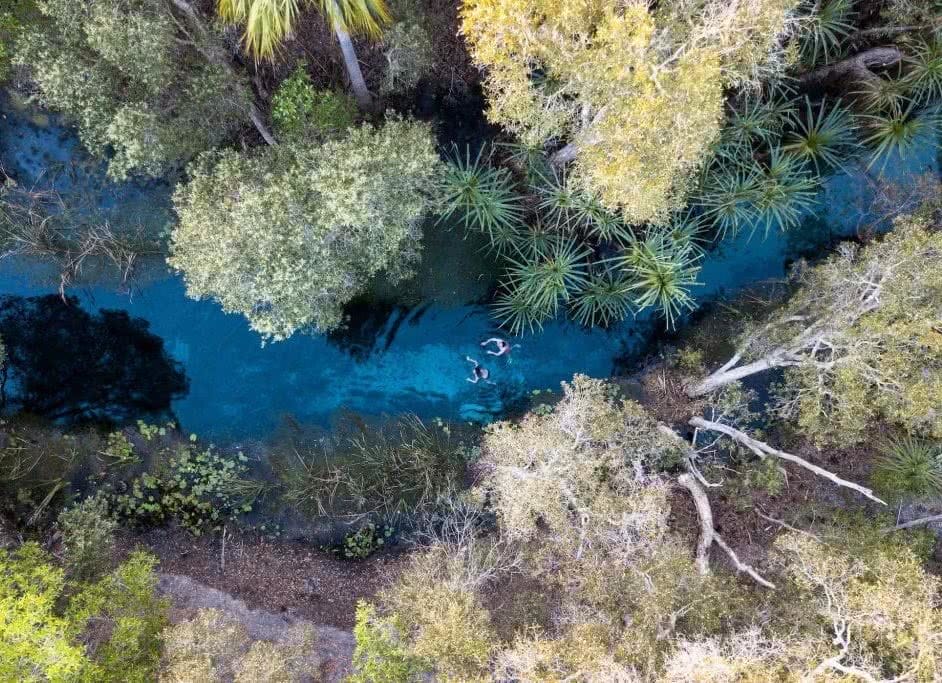 Pat Corden Bitter Springs Northern Territory NT drone shot photography palm grove
