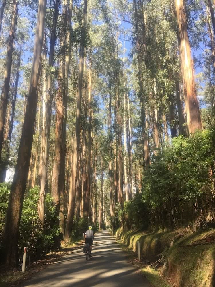 Chris Paola Great Victorian Rail Trail Acheron Way Vic Melbourne bikepacking mountain biking