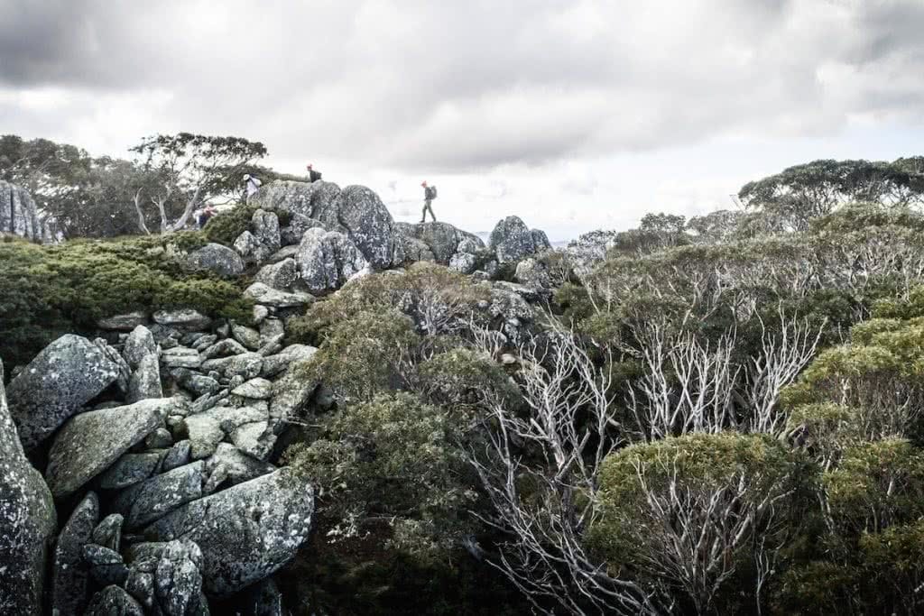 capital brewing company namadgi national park canberra