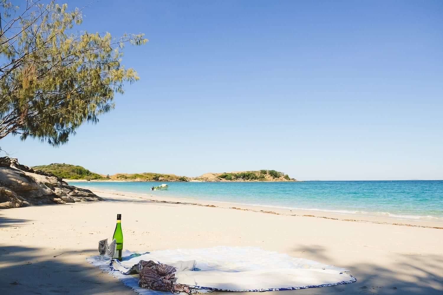 Brenton and Grace Keller Keppel Islands QLD palm tree beach
