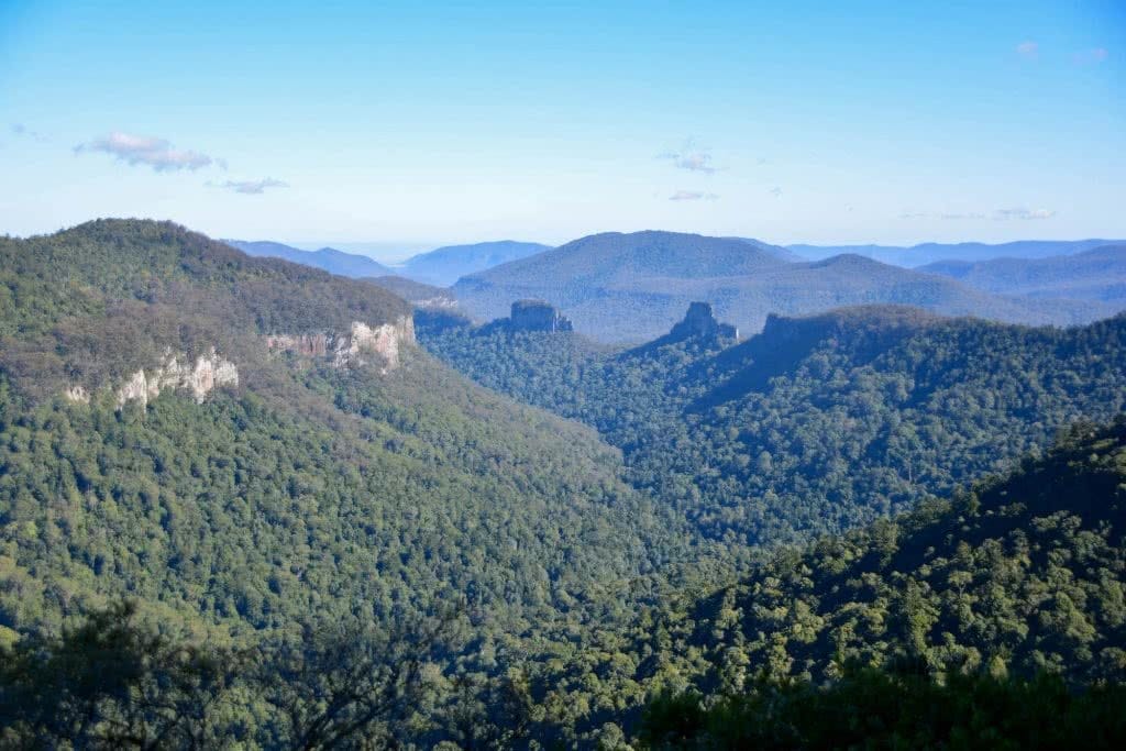 Highest Peak in South East QLD - Mount Superbus (QLD) Lisa Owen Mount Superbus Bush bash rainforest South-East QLD Scenic Rim