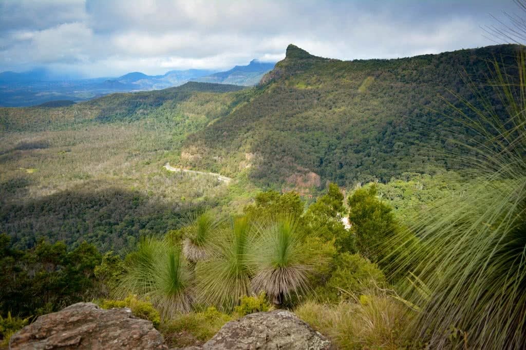 Lisa Owen_BestBeginnerHikesBrisbane_MtCordeaux, Mountain, path, trail, grass trees, sky