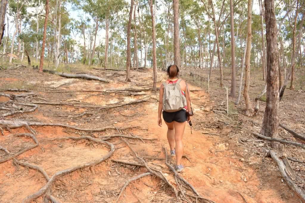 Lisa Owen_Best Beginner Hikes Near Brisbane_LowerPortals, girl. hiking, tree roots, trees