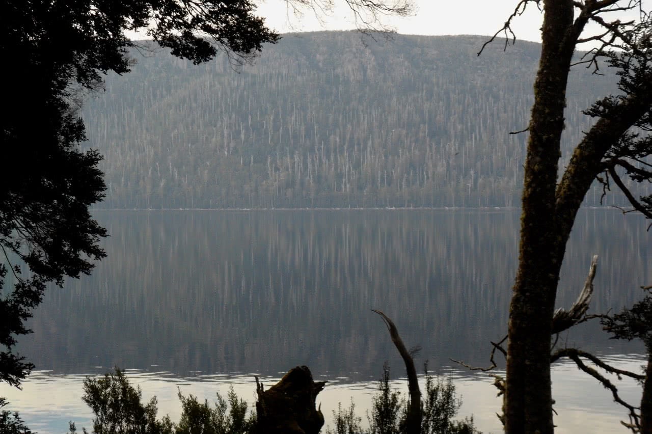 Sam Christie, Lake St Clair, Tasmania, reflection, pine tree, lake