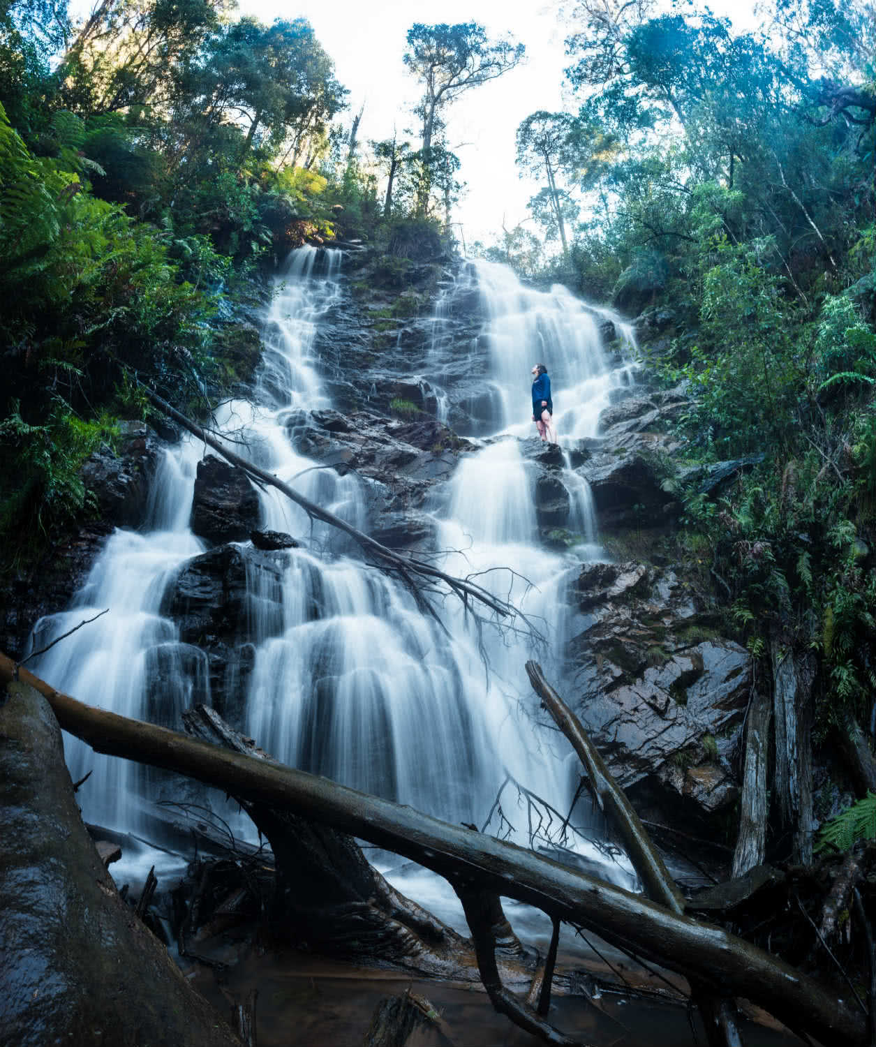 8 Ridiculously Beautiful Victorian Waterfalls To Chase This Summer Pat Corden, waterfall, log, water, Wombelano Falls