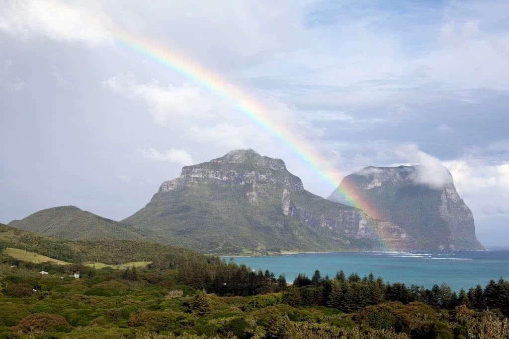 mount gower, lord howe island, trek, best day hike in australia