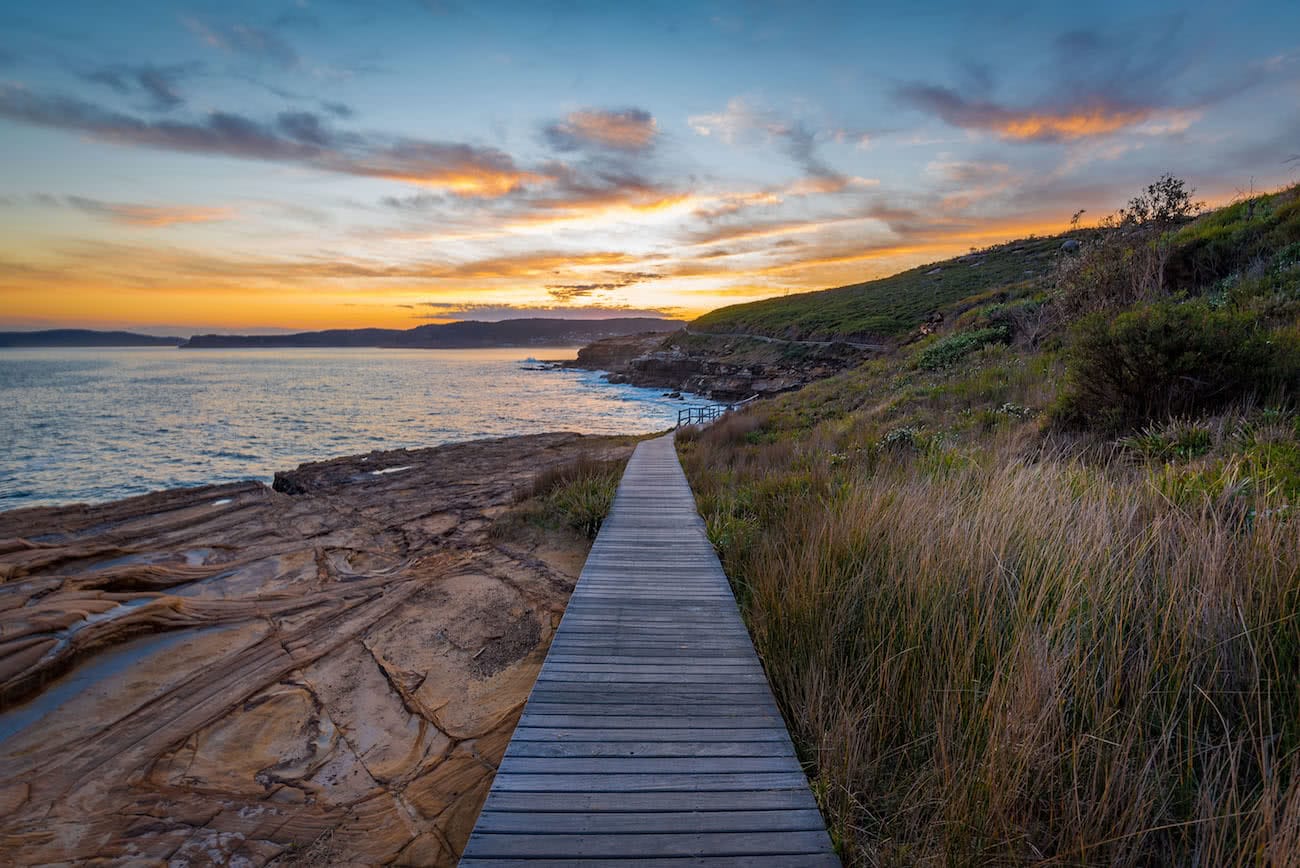 Matt Horspool, Bouddi Coastal Walk, Bouddi National Park, sunset, hiking track, hero, boardwalk