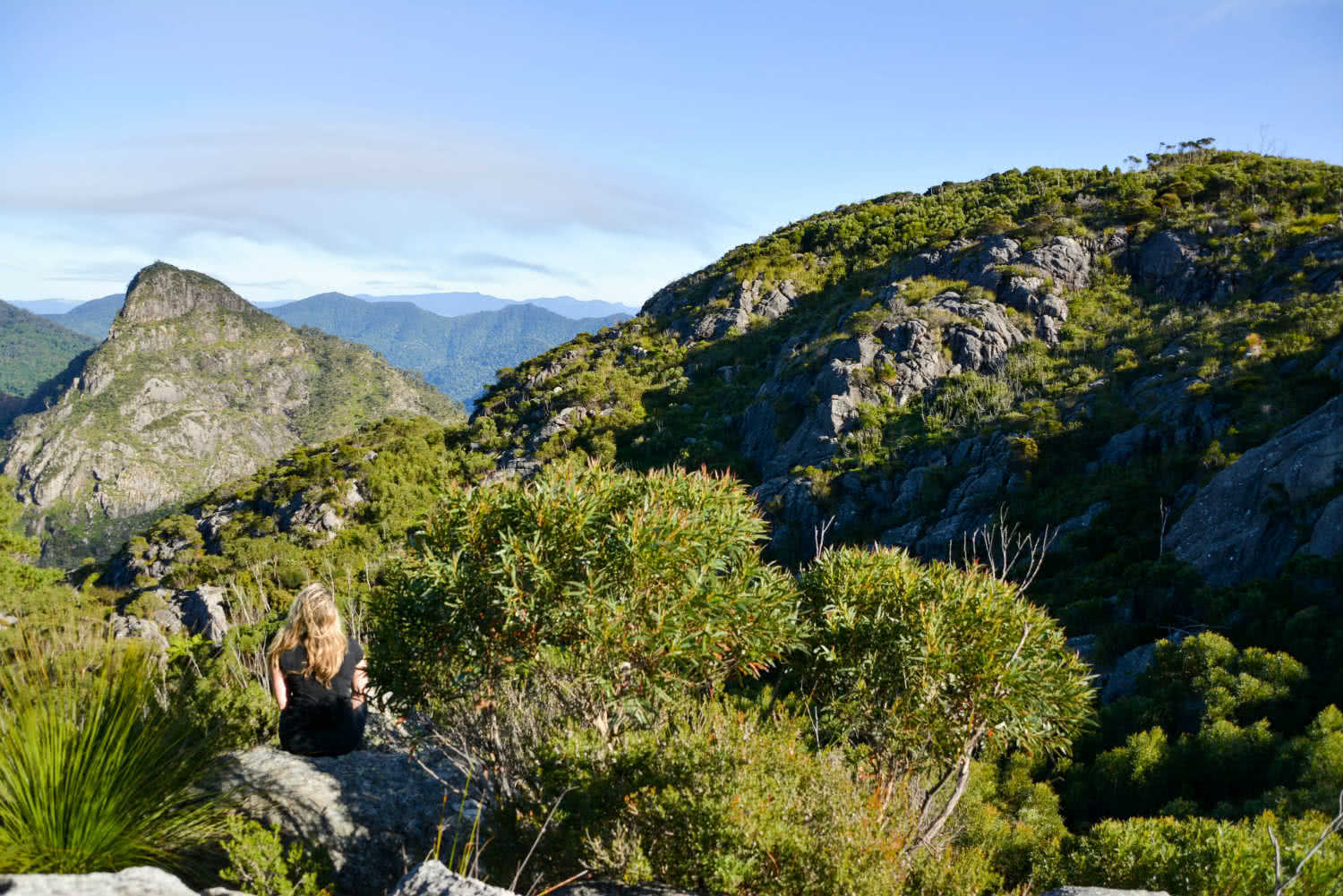 WeAreExplorers_ChallengingHikes_MtBarney_View Lisa Owen Top 5 Challenging Hikes Brisbane, Mt Barney, view, bush, mountaintop