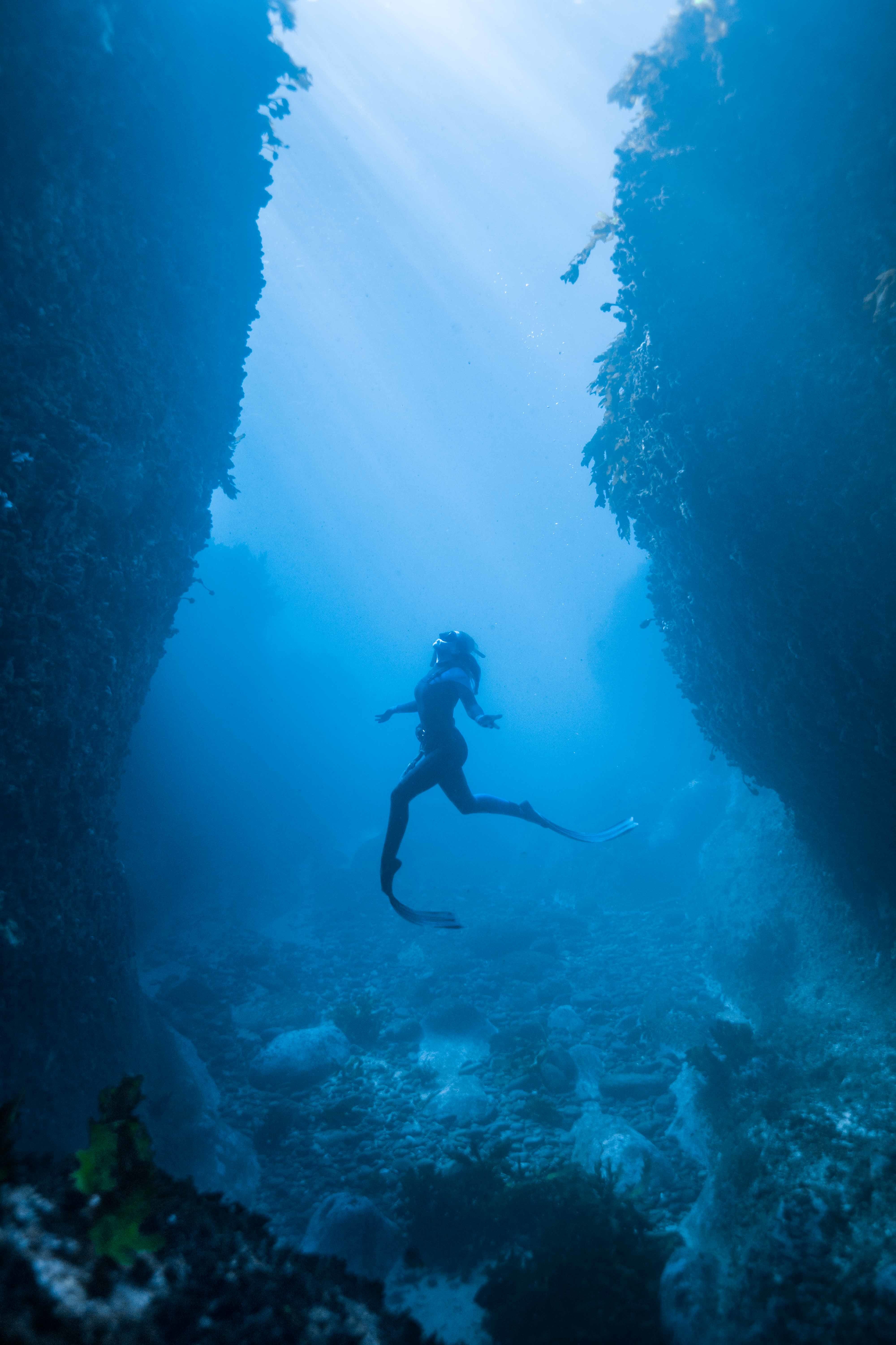 We Are Freedivers Startup Guide To Freediving Mitchell Scanlan-Bloor, seaweed, chasm, ocean, underwater, diver, snorkel, hero