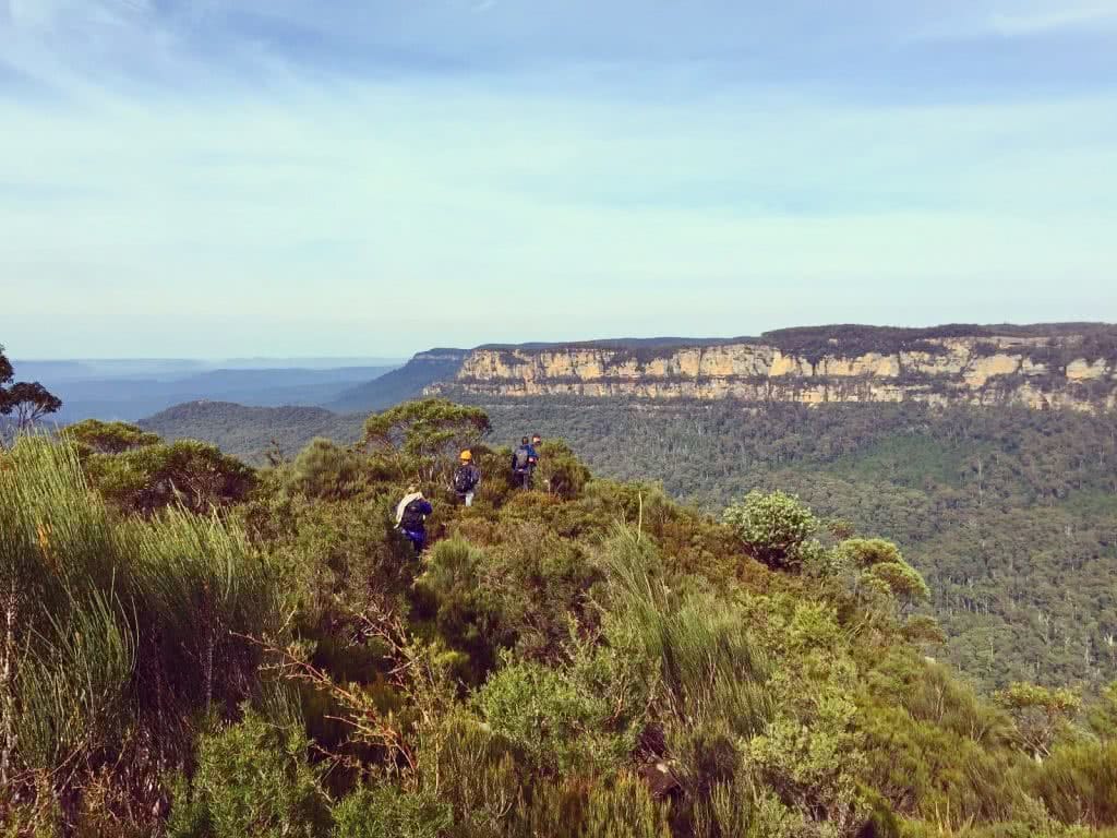 HIGH ABOVE THE TREE TOPS ON MALAITA WALL (NSW) Natalie Hardbattle Blue Mountains View, treetops, escarpment, horizon