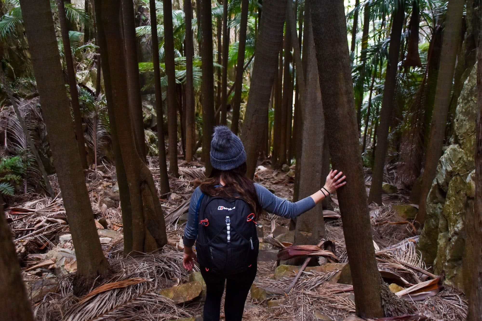 WAE_MtGreville Sunrise_Trees Lisa Owen, woman, trees, forest, hat, backpack