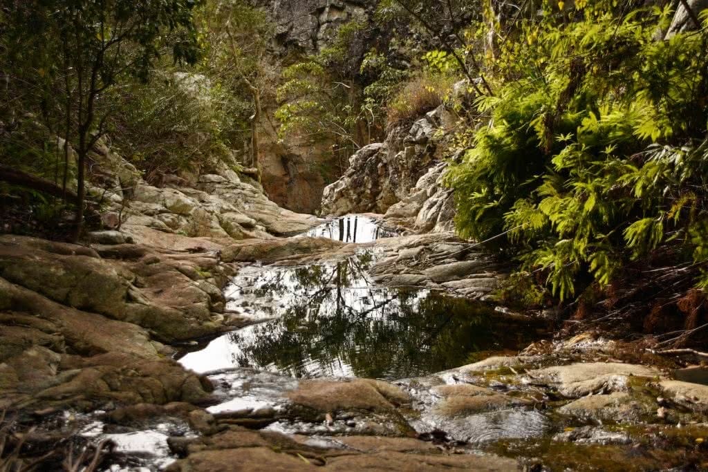 MtGreville Sunrise, Rockpools, Lisa Owen, stream, creek, trees, water