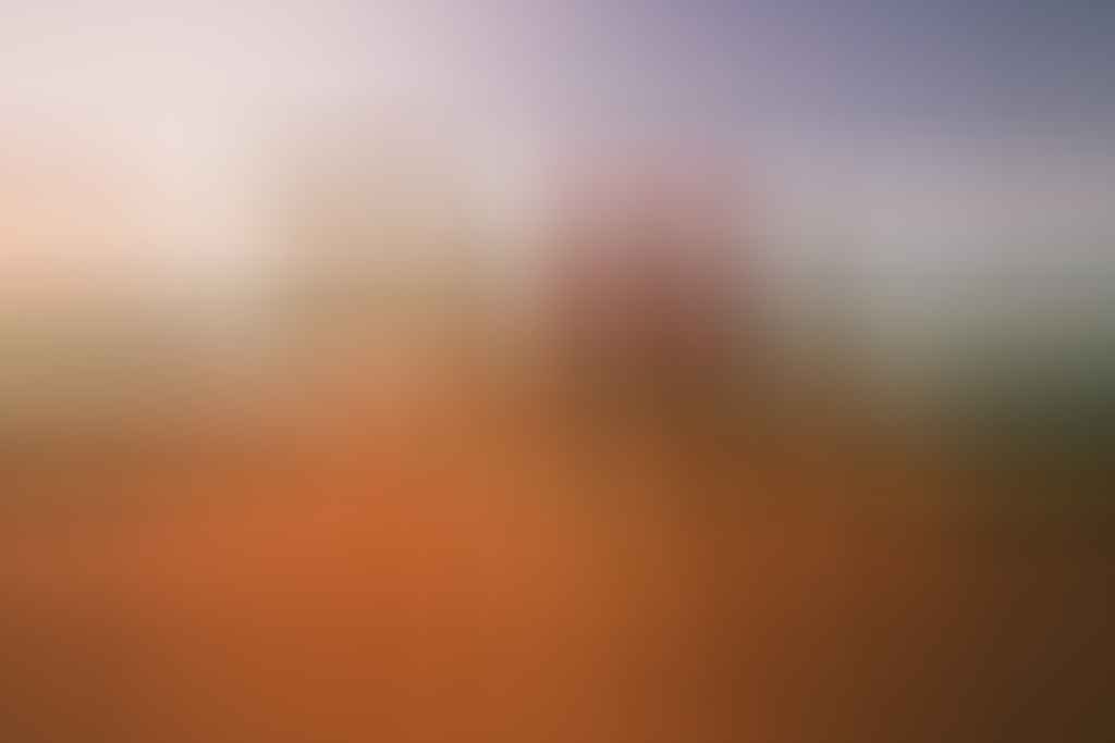 uluru camels mitch cox
