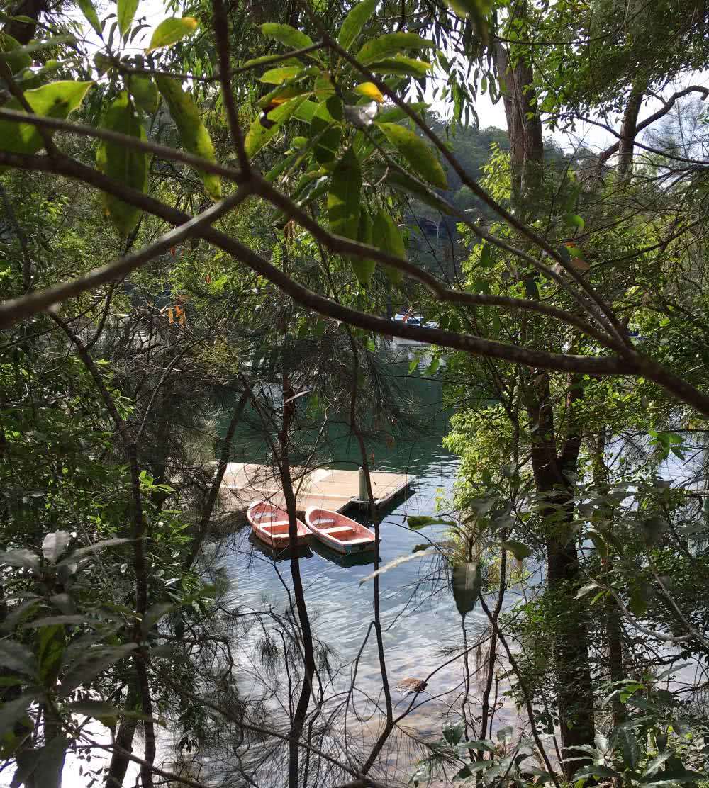 Mount Kuring-Gai to Berowra Waters, Mount Kuring-Gai to Berowra, Matt Pearce, river, paddle boats, nsw, 10 walks near sydney you can reach by train