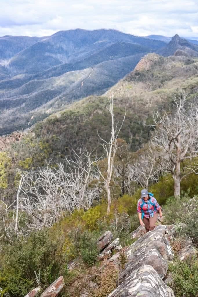 Cathedral Range State Park VIC Chris Paola, trees, ridge, mountains, hiker, woman, summit approach