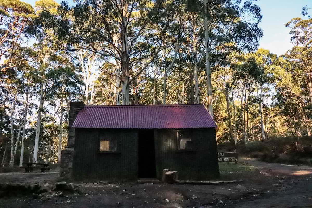 Beeripmo Walk // Mt Cole State Forest (VIC) Chris Paola grass, trees, mugwamp hut campground, shack