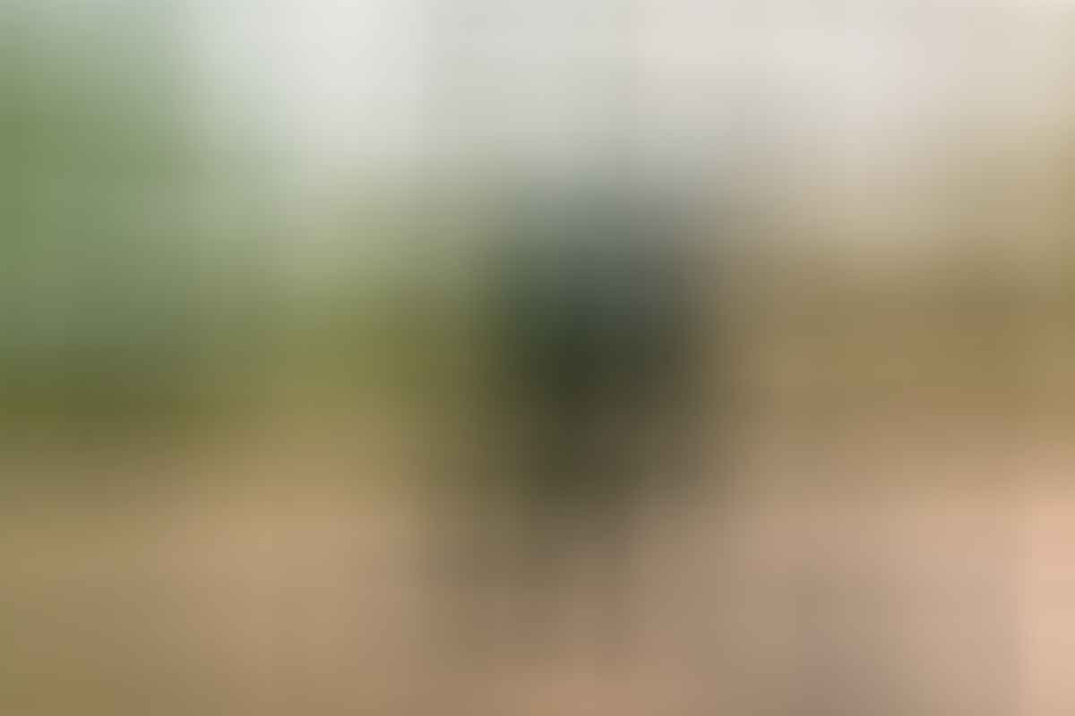 tim clark, shoalhaven, adventure sports, nsw, mountain biking