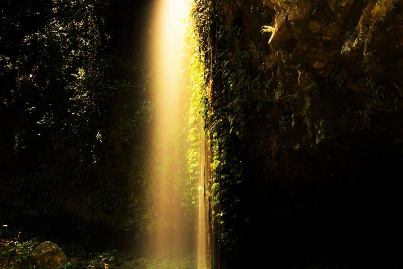 calumn hockey, crystal shower falls, dorrigo national park, waterfall, sunlight, whispy, rainforest