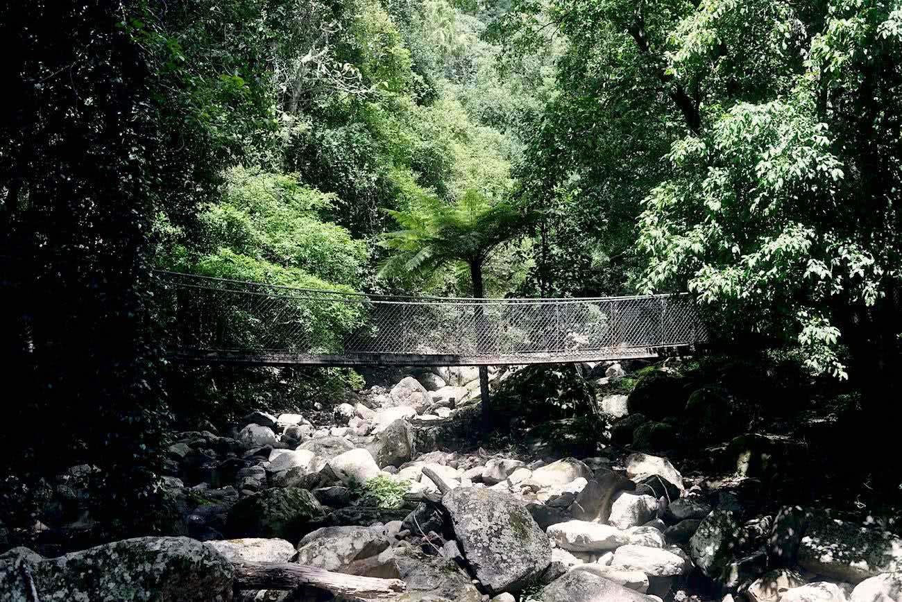 jodie hui, minnamurra rainforest, budderoo national park, suspension bridge