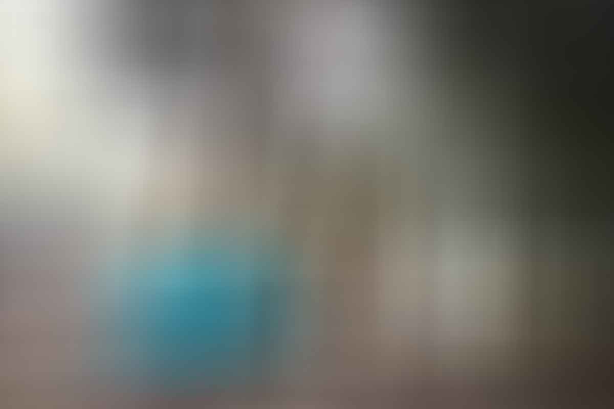 Tim Clark, Shoalhaven River, Tallowa Dam, wilderness, sunlight, woman, camping, tent, bikini, NSW