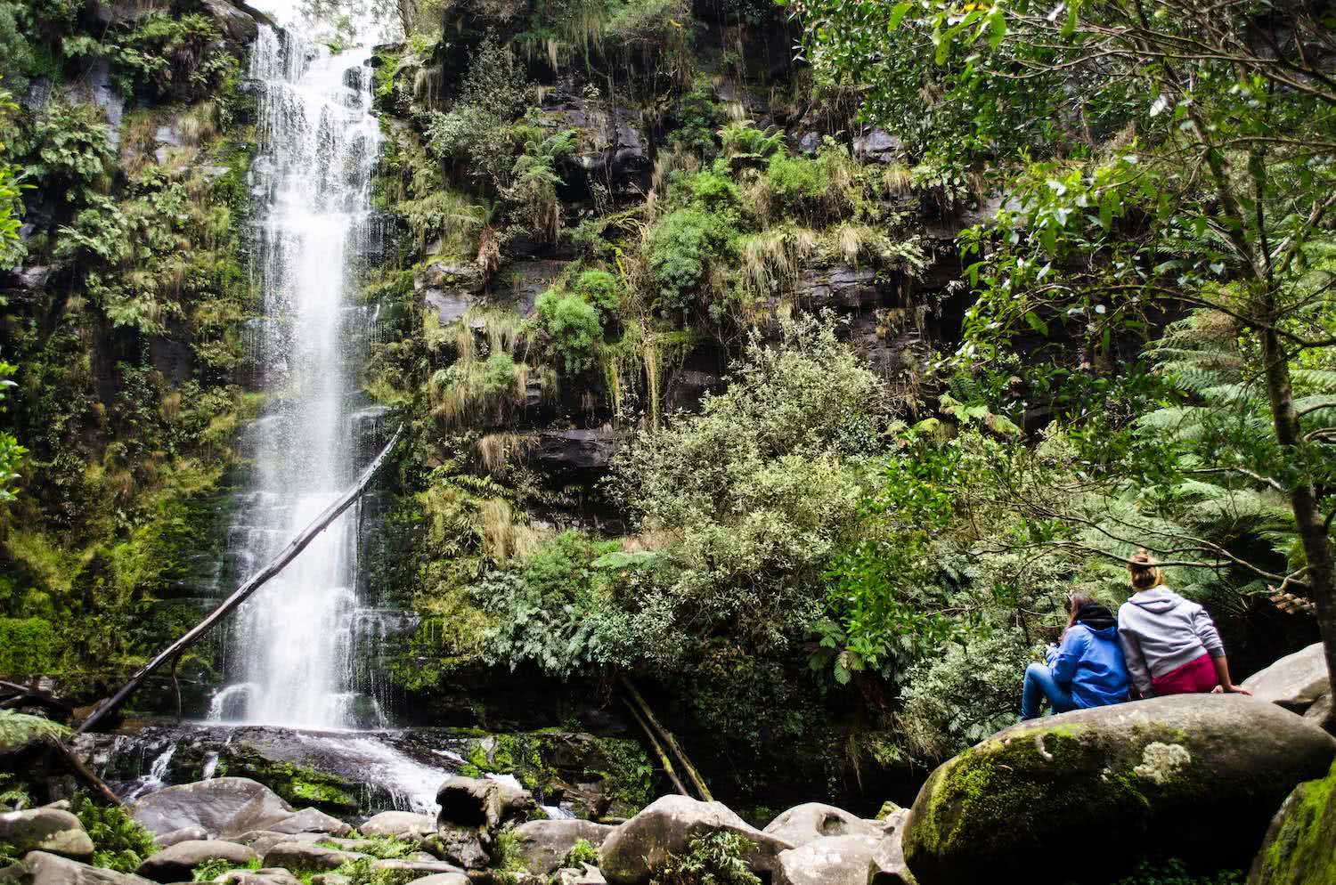 8 Ridiculously Beautiful Victorian Waterfalls To Chase This Summer Pat Corden Erskine Falls, waterfall, bush, person, rocks