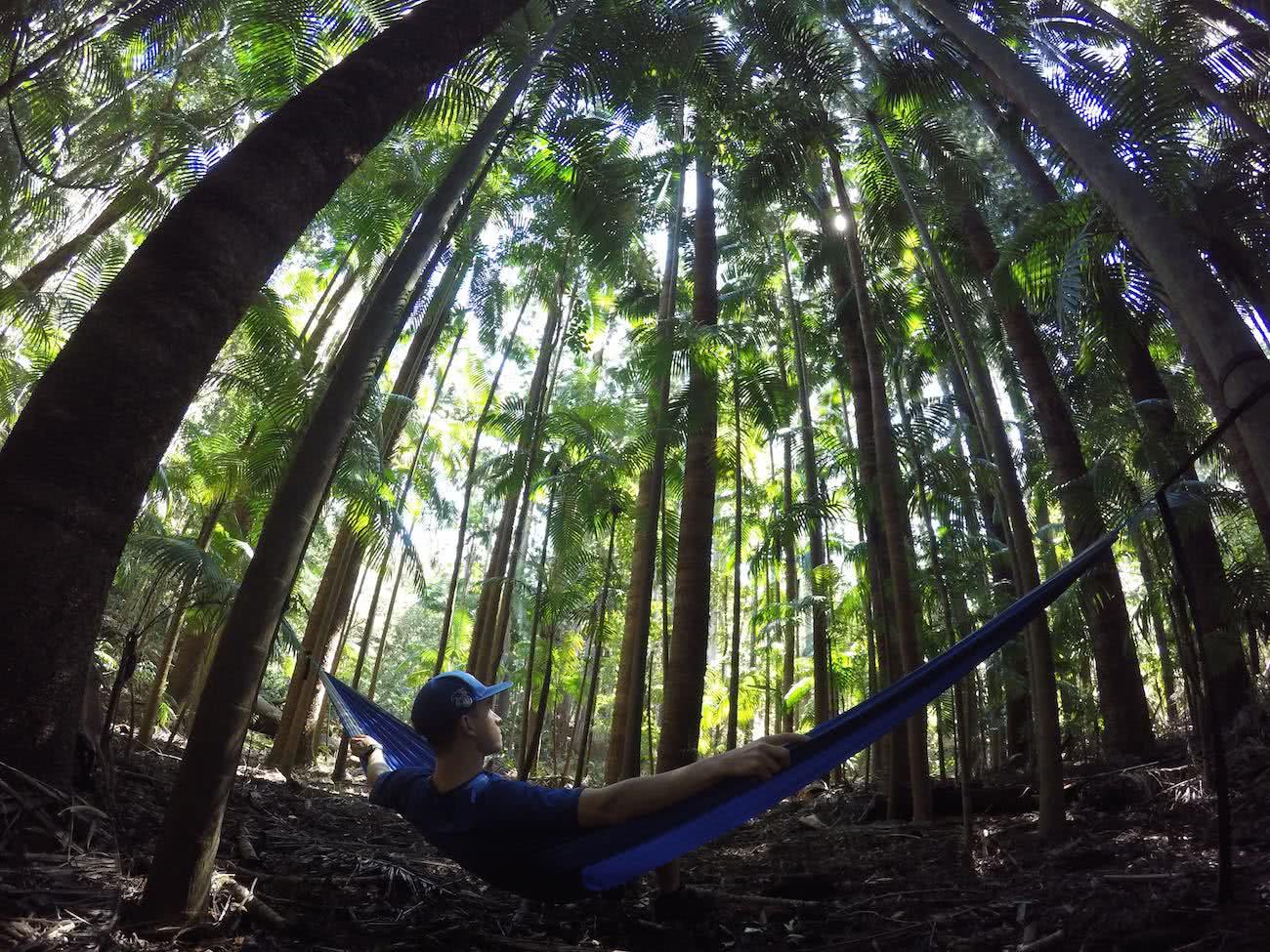A Tiny Hidden Gem // Yarriabini National Park (NSW) Calumn Hockey palm relaxing, hammock, trees, green