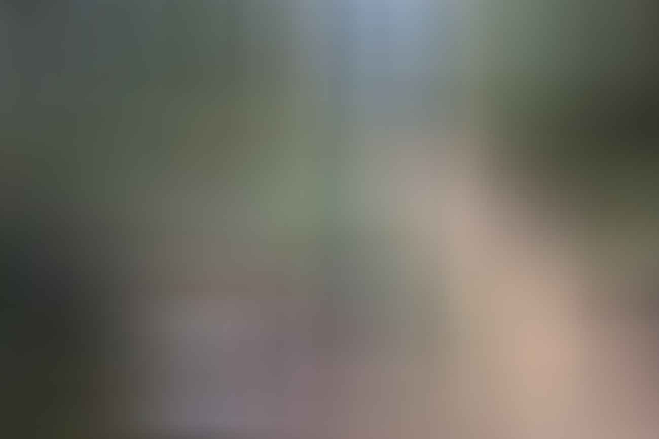 rachel dimond, how to be green in the backcountry, perrys lookdown, blue mountains, nsw