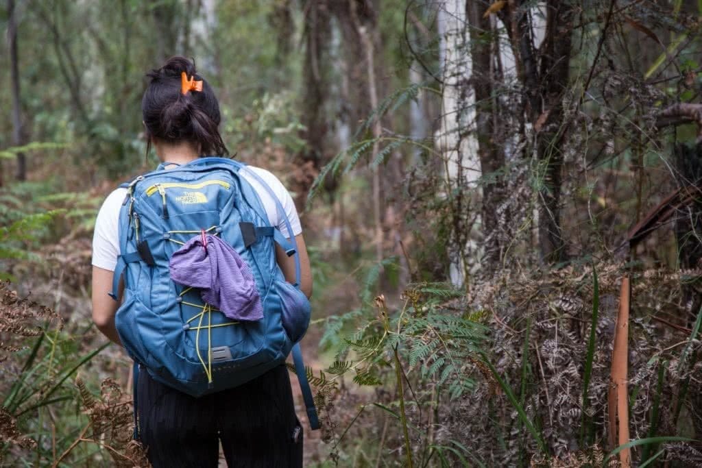 rachel dimond, how to be green in the backcountry, perrys lookdown, blue mountains, nsw