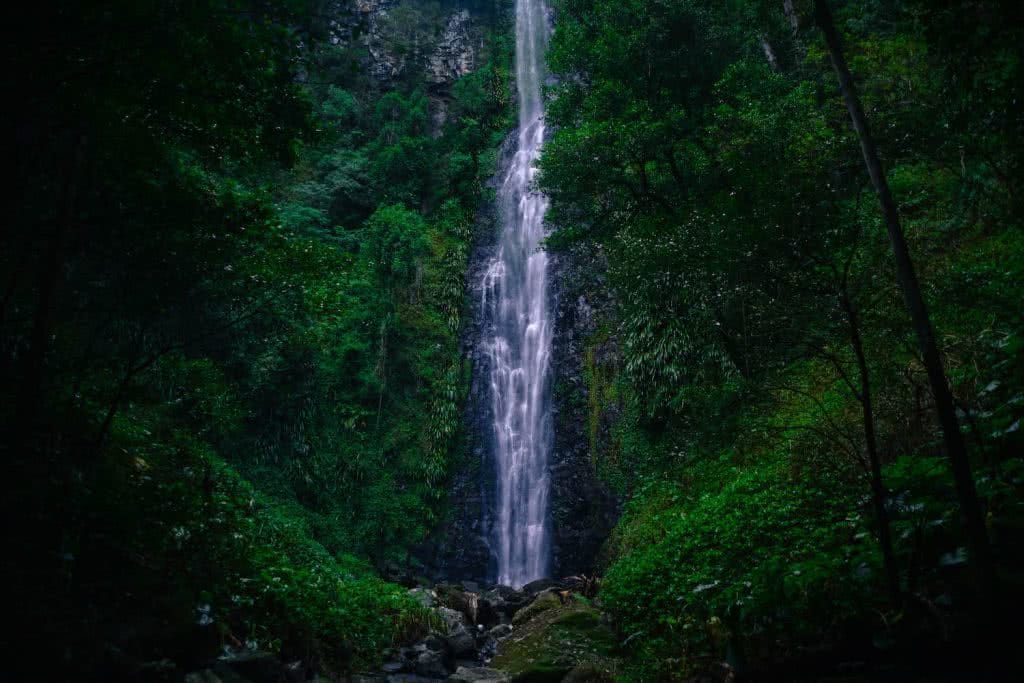 larapinta falls, best waterfall hikes near brisbane, queensland, lisa owen, microadventure, waterfall